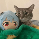 Fortnite Shield Potion