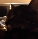 stop im at 1 hpppppp