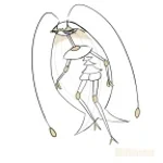 pheromosa