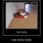 black beatels (copy)