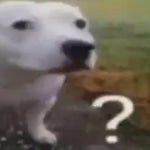 linus miners - Sound