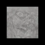 MANGE TES MORTS DACCORD