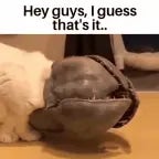 hey guys i guess thats it