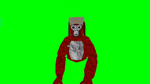 monke bot