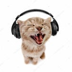 then something just snapped