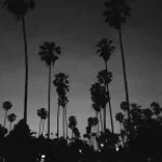 BLACK BEATLES ULTRA SLOWED  HARDTEK