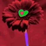 geile-maarten-made-with-Voicemod