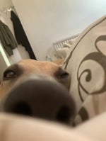 You fr think you in a edit.