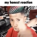 mc teteu dingo bell (copy)