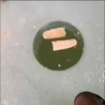 My Hot Dawg 16:22:23