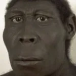 generation de tahan fahan (copy)