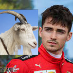 Charles Leclerc - Milk the goats!
