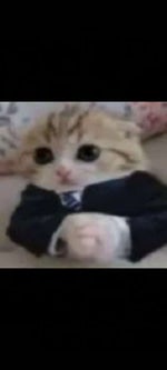 la teoria de la puchaina negra part 1