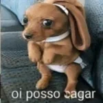 ei qual e a senha