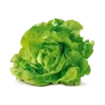 Prohrál jste saláte