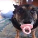 2Ke Insano Automotivo Ft Drxvxn