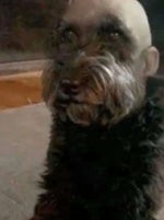 Akim Apachev Leto i arbalety (musmore - Sound