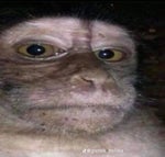 The Last Of Us Theme