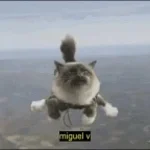 Miguel Miguel