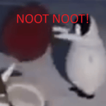NOOT NOOT EXPLOSION - Sound