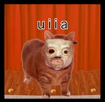 OIA Cat Sings Psychosocial!