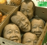 Rolling with the Tiger (Survivor vs adele) - Sound