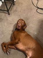 Welcome To The Brixton earrape - Sound