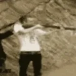 shotgun shot