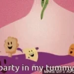 party in my tumy