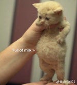 Ah, hello Gordon Freeman