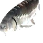 funky town low quality meme