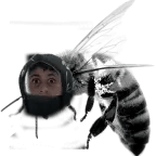 pls let me out i will never fail