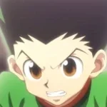 hunter x hunter