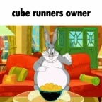 Run Rabbit Run Gorilla Tag (copy)