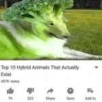 Du bist eine hure😀