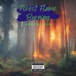 Forest Flame Burning