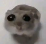 Enes Batur Youtube Budur yipit - Sound