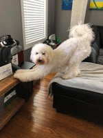 Jugaste y Sufri Video Oficial Eslabon Armado ft ByTuna - Sound