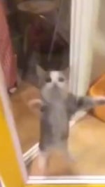 Baldi Glitched credits