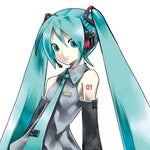 Im Hutsune Miku