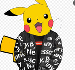 POKEMON???