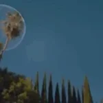 Recording 12/31/25 21:48:33