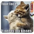 Ben sizin patronunuzun ananızı