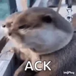 ack