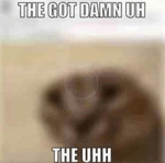 Lawnmower Sound Sound Effect