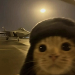 screwball saying im fully sorry