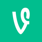 vine boom