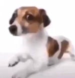 Scp secret laboratory scp 939 jump sound - Sound