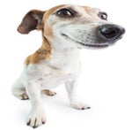 Digga wallah Film heute