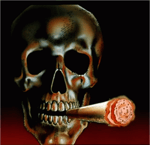 Shikanoko Nokonoko Koshitantan